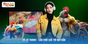 Đá Gà Thomo - Sân Chơi Giải Trí Hấp Dẫn, Thưởng Lớn