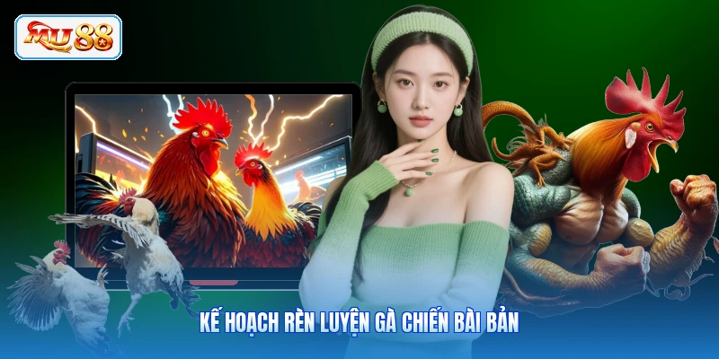 Kế hoạch rèn luyện gà chiến bài bản