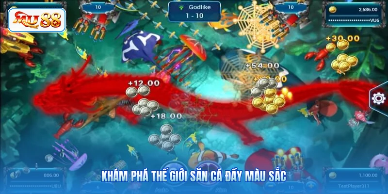 Khám phá thế giới săn cá đầy màu sắc